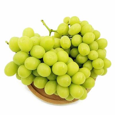 Anggur Shine muscat