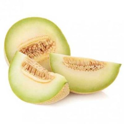 Melon Hydroponic