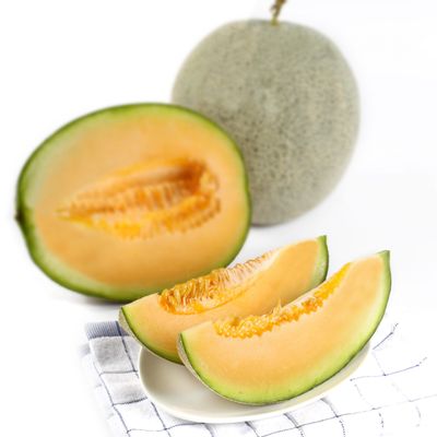Rock Melon