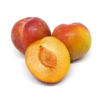 Plum Amber Jewel